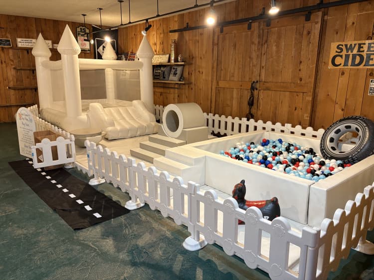 Softplay with Large Ball Pit & Small Bouncer