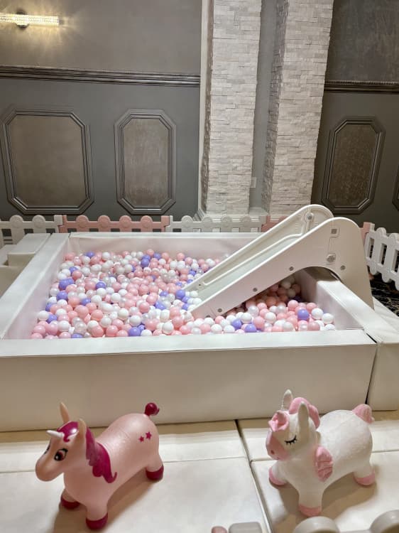 Soft Play & 7' by 7' Ball Pit (Without Bounce House) 0