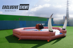 Mechanical Bull Party