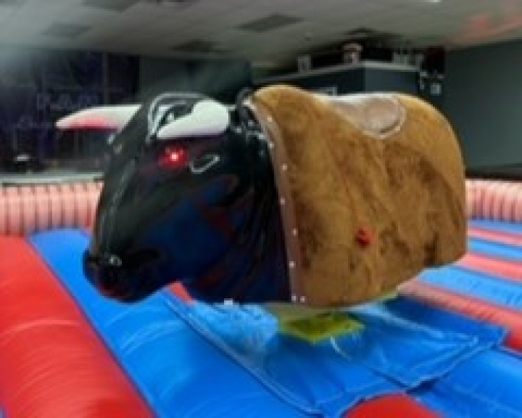 Mechanical Bull